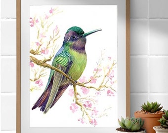 Bird Art Hummingbird Wall Decor Watercolor Fine Art Print Hummingbird Art Animal Wall Art Bird Painting by LanaKa