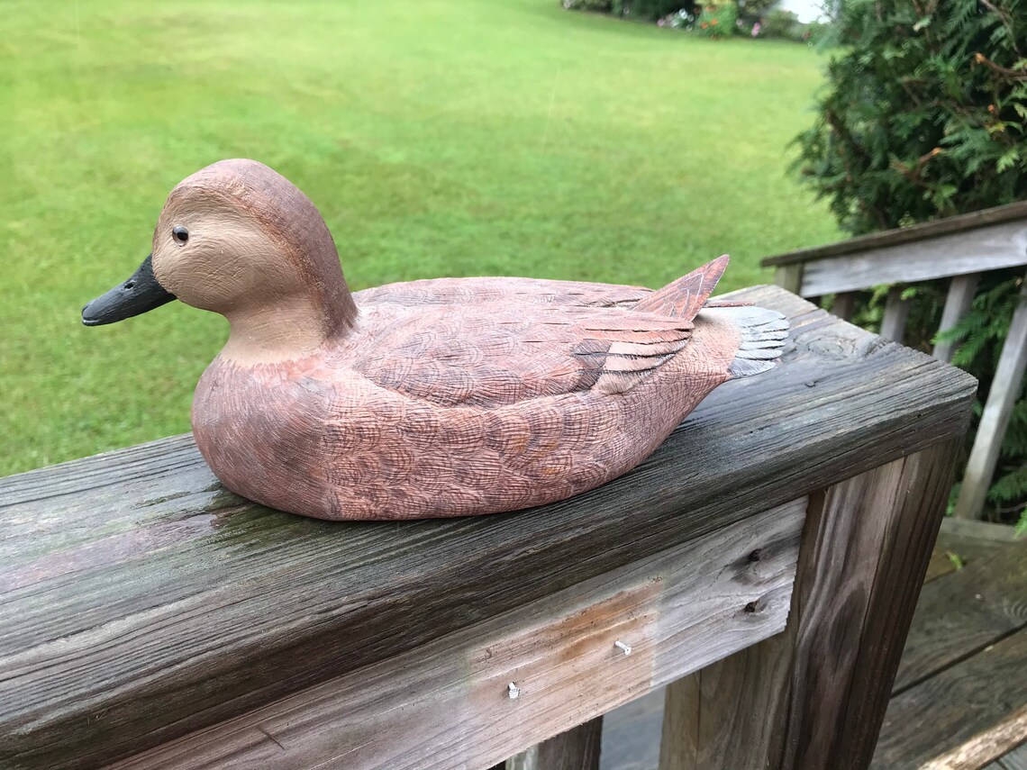 Canvasback Hen Duck Decoy hand carved Etsy