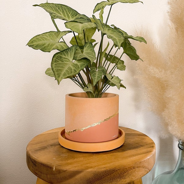 Two-Tone Gold Flake Concrete Planter with drainage hole / Concrete plant pot / Cement planter