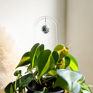 disco ball accent on a clear arch shaped plant trellis