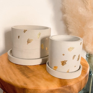 Gold Flake Concrete Planter with tray / Concrete pot / Concrete flower pot / Indoor plant pot / Cement planter / Drainage hole included