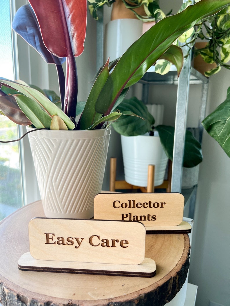Small Tabletop Sign Custom Wooden Small Tabletop Signs (set of 5) | Market Pop-up Signs - Etsy