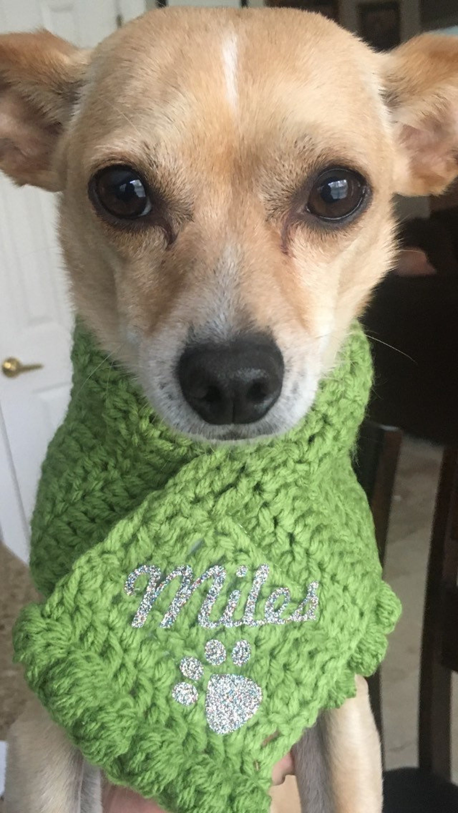 Personalized Crochet Dog Scarves Etsy