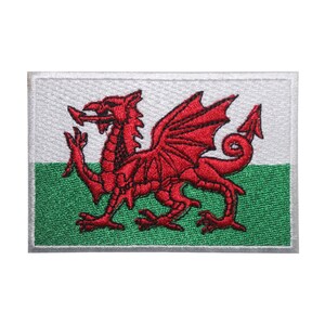 May include: A white and green embroidered patch with a red dragon. The dragon is facing right and has a long tail. The patch is surrounded by a white border.