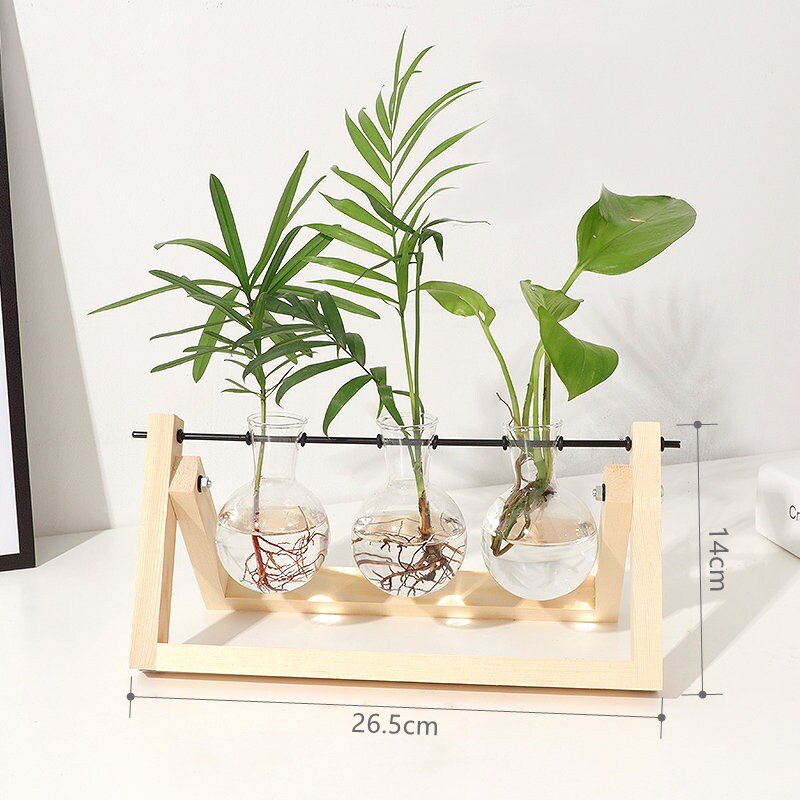 Plant Propagation Station Desktop Bulb Glass Vase With Wooden Etsy