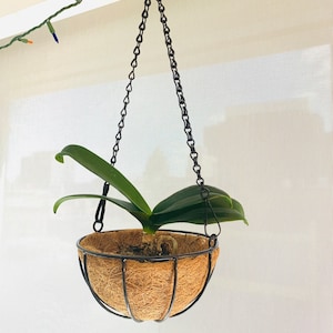 Fioriera sospesa da 6,7&quot; con cestini in cocco, filo metallico e portavasi/Fioriera sospesa a forma di cocco