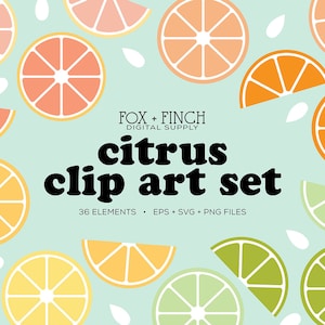 Citrus Clipart, Orange Slice SVG, Commercieel Gebruik Clip Art Set, Summer Clipart, Lemon Lime Grapefruit, Summer Fruit, Vector EPS PNG