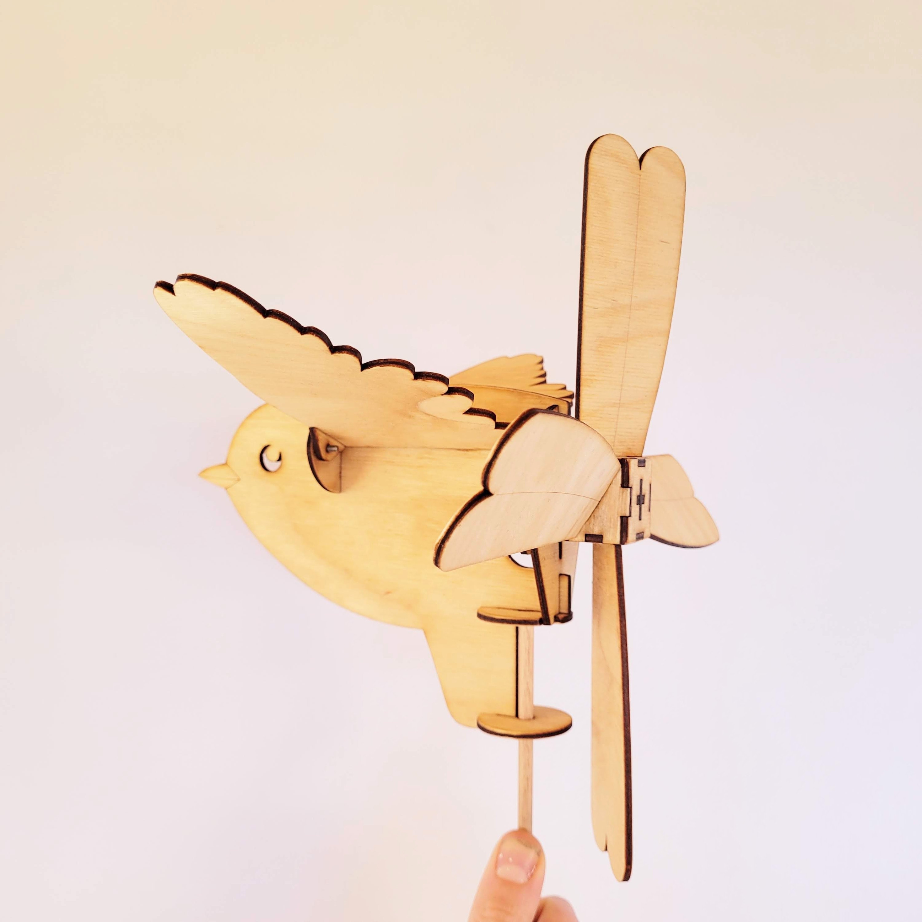 Fantail Whirligig — image 5 of 7