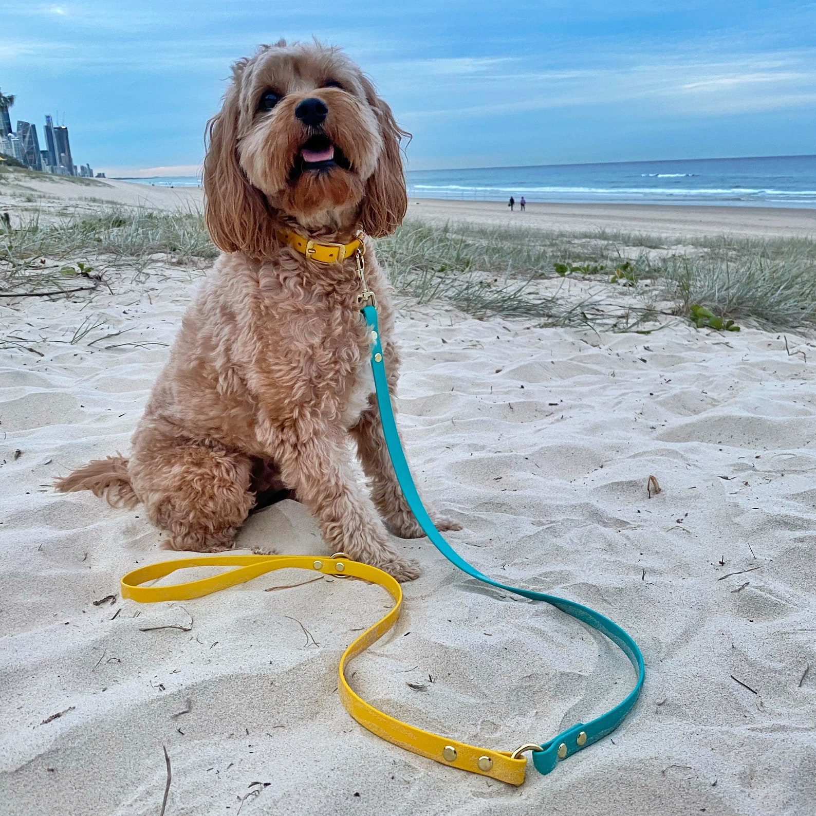 4+ Great Leather Dog Leashes From Australian Brands