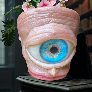 Può includere: Un vaso da fiori unico a forma di occhio umano con un'iride blu e un esterno carnoso rosa. Il vaso è pieno di fiori rosa.