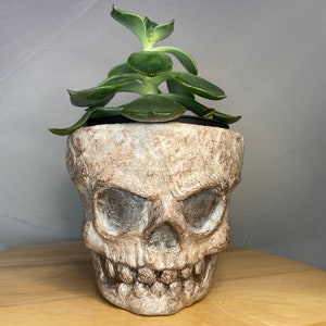 Hand made planters |Skeleton (named “Scully”|Hand made to order, unique sculpture on a terracotta planter |  pick a 9cm 11cm or 17cm pots