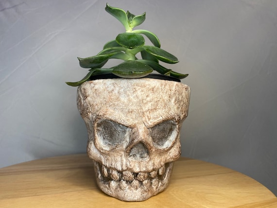 Hand made planters |Skeleton (named “Scully”|Hand made to order, unique sculpture on a terracotta planter |  pick a 9cm 11cm or 17cm pots