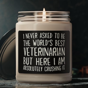 Tierarzt Kerze, lustiges Geschenk für Tierarzt, bester Tierarzt aller Zeiten, Kerze für Tierarzt, Geschenk für Tierarzt, Tierarzt Geschenk