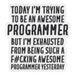 Programmer Sticker, Programmer Gift, Sticker for Programmer, Funny ...