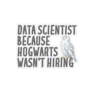 Op de afbeelding: Een witte sticker met grijze tekst die "Data Scientist Because Hogwarts Wasn't Hiring" luidt. Rechts van de tekst staat een witte uil met zwarte vlekken.