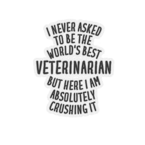 Veterinarian Sticker, Veterinarian Gift, Funny Veterinarian Gift, Sticker for Veterinarian, Veterinarian Stickers, Gift for Veterinarian