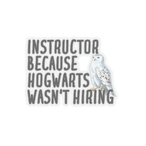 Instructor Sticker, Gift for Instructor, Sticker for Instructor, Instructor Gift, Funny Instructor Gift, Instructor Birthday Gift