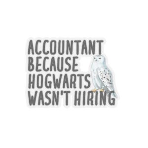 Sticker accountant, grappig cadeau voor accountant, sticker voor accountant, accountantgeschenken, accountant verjaardagscadeau, accountant grappig cadeau