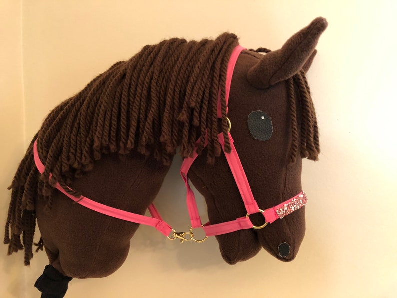Hobby Horse