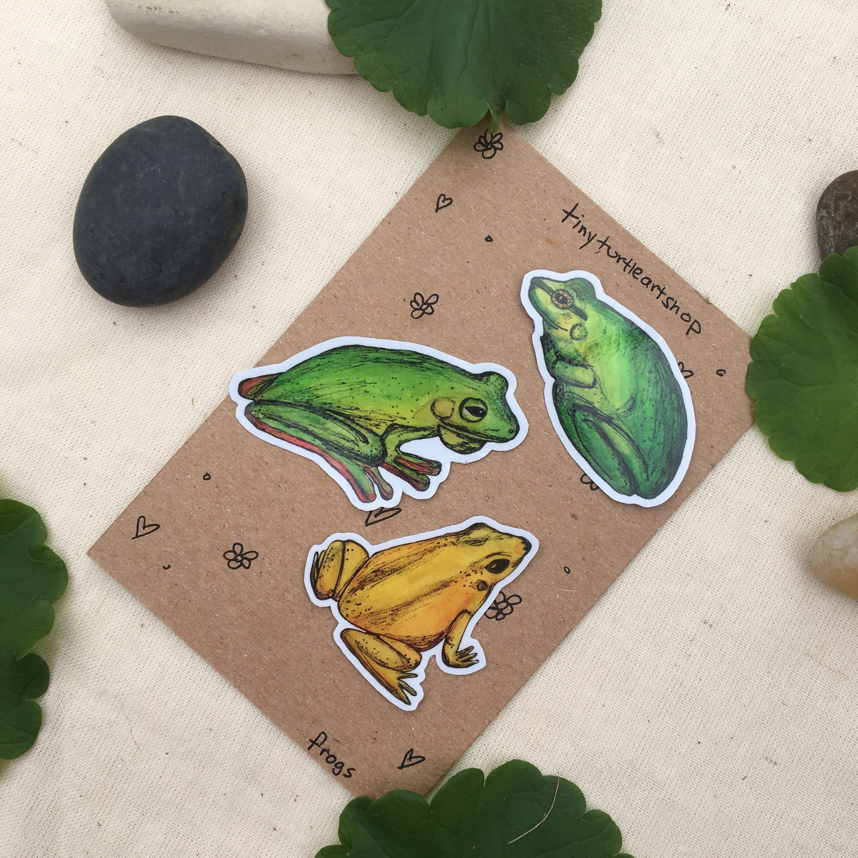 Frog Vinyl Sticker Pack Stickers for Water Bottles Etsy