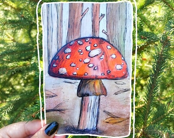 Mushroom art print- original watercolour art prints (limited stock and signed)