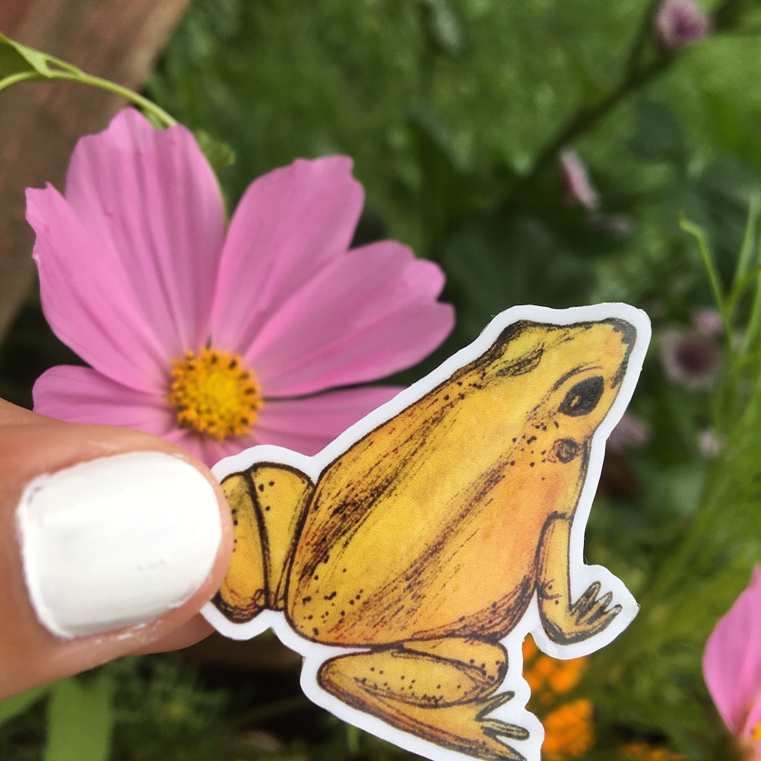 Yellow Frog Sticker Frog Vinyl Sticker- Yellow - Stickers for Water Bottles, Journaling ...