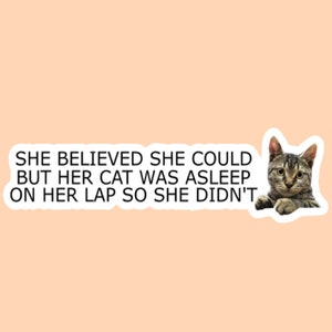 She Believed She Could But Her Cat Was Asleep On Her Lap So She Didn&#39;t Sticker, Cat Mom Sticker, Funny Cat Mom Stickers, Cat Lover Sticker
