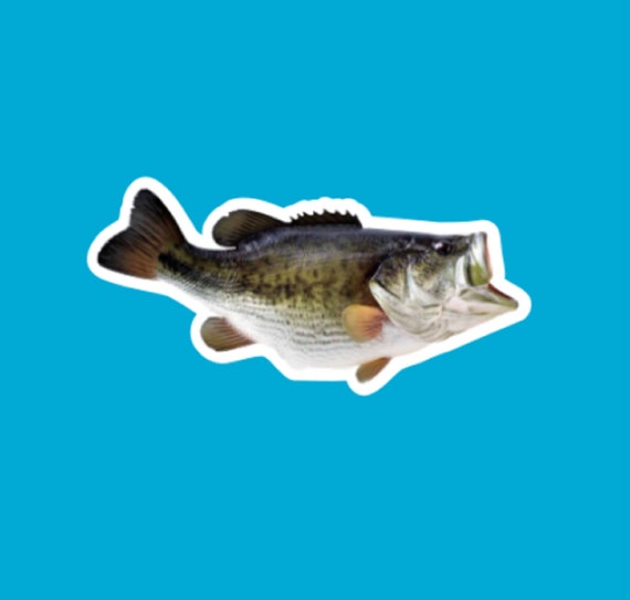 Bass Fishing Funny Stickers, Laptop Stickers, Water Bottle