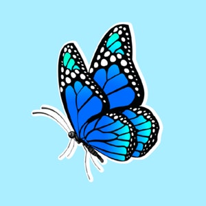 Butterfly funny stickers, laptop stickers, water bottle stickers, tumbler stickers