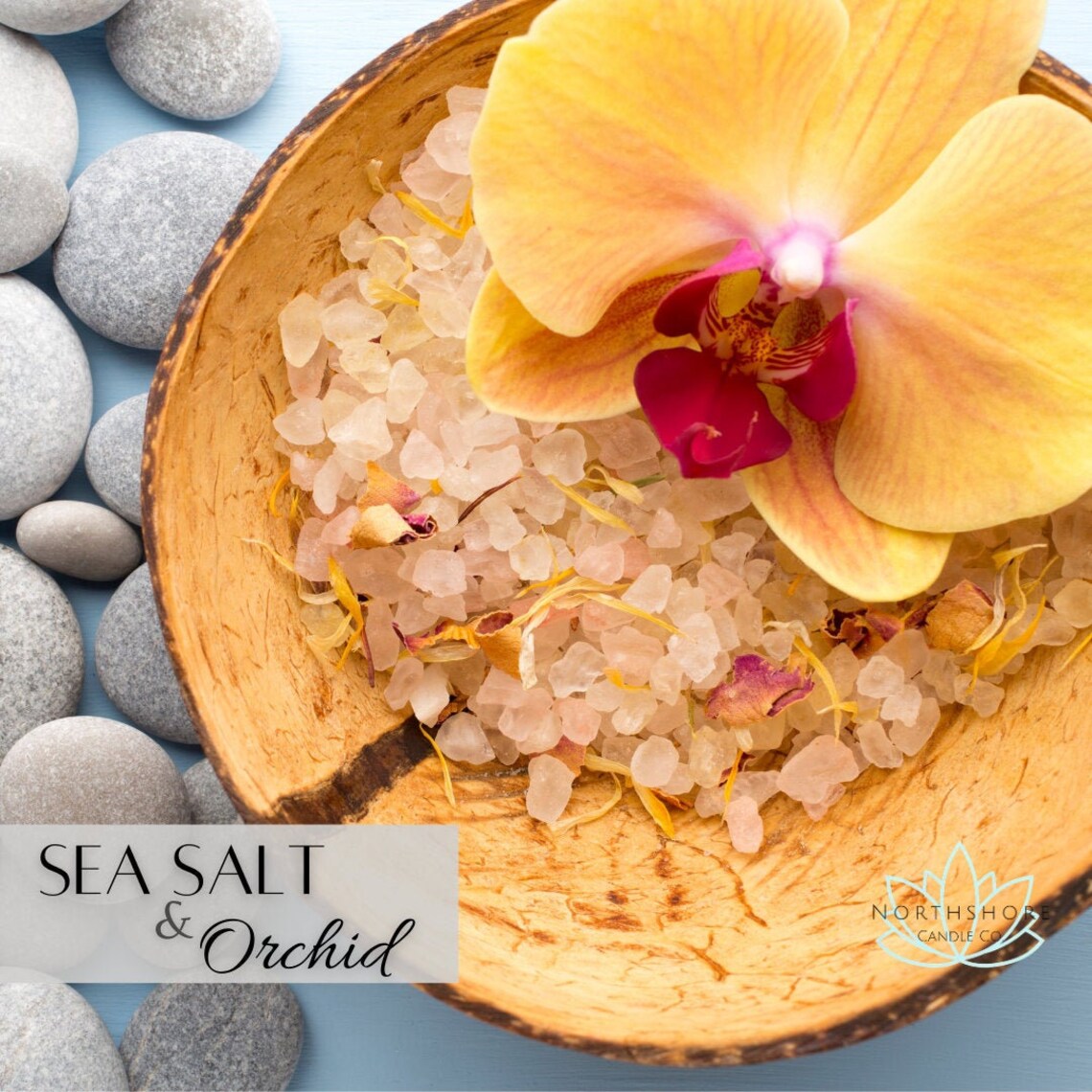 Sea Salt & Orchid Etsy