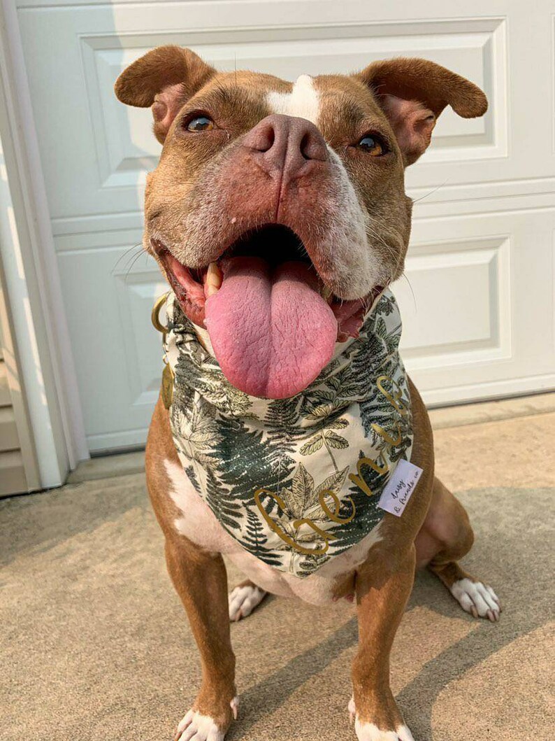 Vintage Vines Bandana