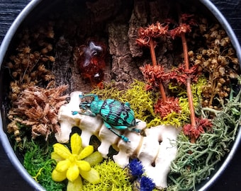 May include: A small, round, metal container with a variety of natural elements inside, including moss, bark, a small bone, a blue and green beetle, and a small yellow flower.