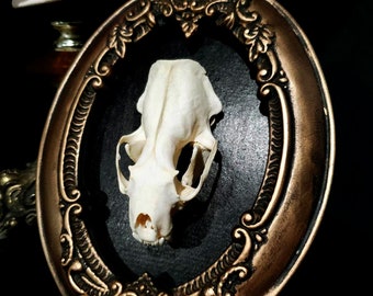 Ornate Mink Skull Frame