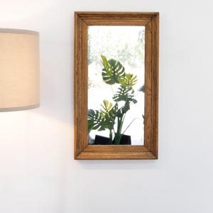 May include: A rectangular wooden framed mirror with a reflection of a green leafy plant in a pot.