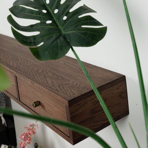 Puede incluir: Estanter&iacute;a de madera marr&oacute;n oscuro, montada en la pared, con dos cajones y pomos de lat&oacute;n. La estanter&iacute;a tiene forma rectangular y est&aacute; montada en una pared blanca. Hojas y tallos verdes de una planta en primer plano.