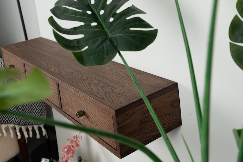 Puede incluir: Estanter&iacute;a de madera marr&oacute;n oscuro, montada en la pared, con dos cajones y pomos de lat&oacute;n. La estanter&iacute;a tiene forma rectangular y est&aacute; montada en una pared blanca. Hojas y tallos verdes de una planta en primer plano.