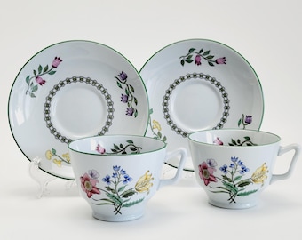 Vintage Spode Summer Palace Fine Stone Cup & Saucer, 2 Sets, Multicolor Floral and Green Trim, Made in England c.1980s, Discontinued China