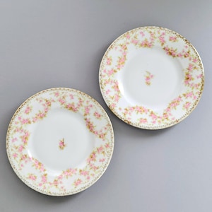 May include: Two white porcelain plates with a pink floral pattern and gold trim. The plates feature a central cluster of pink flowers and a border of pink roses and green leaves. The plates are set against a gray background.