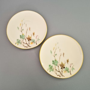 May include: Two round off-white ceramic saucers featuring a delicate botanical illustration of thin brown branches with small green, yellow, and brown leaves. Each saucer is finished with a thin gold rim along the circular edge.