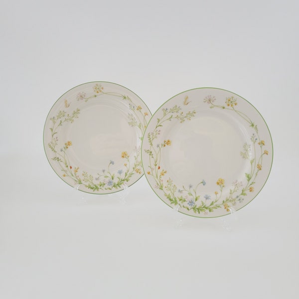 Noritake Reverie Green Trim SALAD PLATES (2), Off-White with Spring Wildflower & Butterfly Pattern, Made in Japan, Spring or Summer Dishes