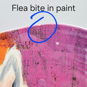 May include: Close-up of a section of a painted surface with a pink and orange colour scheme. The text "Flea bite in paint" is visible above a blue circle highlighting an area of paint damage.