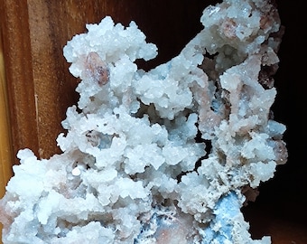 Chalcedony coral with brown stilbite