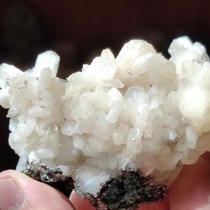 Stilbite crystals in apophyllite in matrix