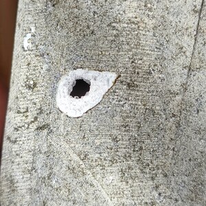 K&ouml;nnte beinhalten: Nahaufnahme einer grauen, strukturierten Oberfl&auml;che mit einem kleinen, runden Loch. Das Loch ist von einem wei&szlig;en Ring umgeben.
