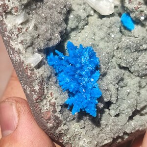 May include: A close-up of a blue mineral specimen with a crystal formation. The mineral is embedded in a gray rock with white and brown accents.