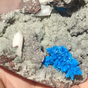 May include: A cluster of blue, white, and gray crystals on a gray rock. The crystals are arranged in a cluster, with the blue crystals in the center and the white crystals on the edges. The rock is rough and textured.