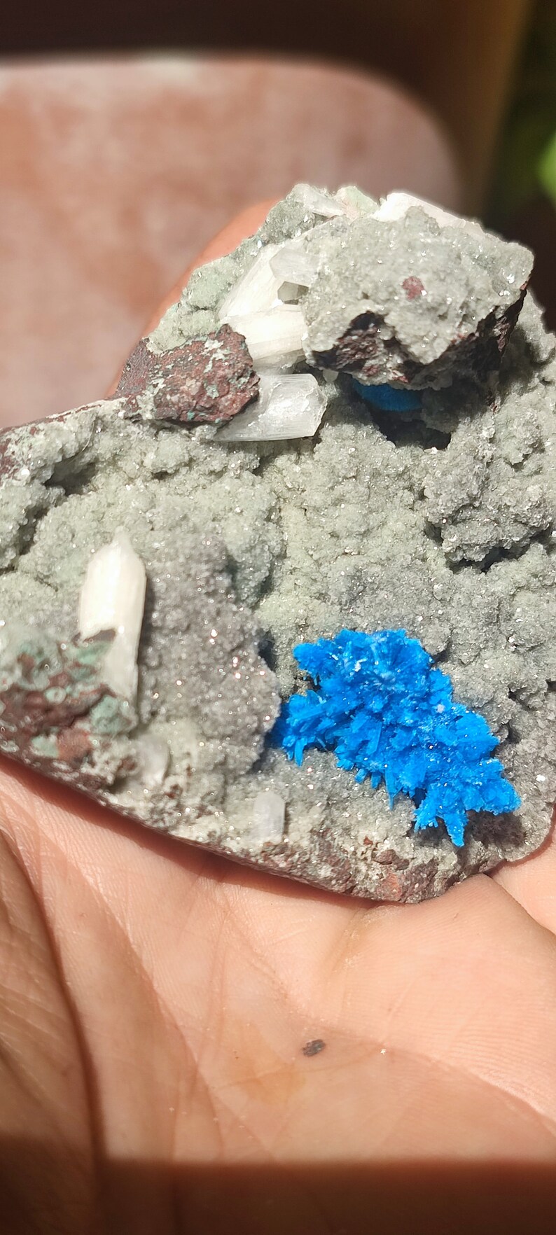 May include: A cluster of blue, white, and gray crystals on a gray rock. The crystals are arranged in a cluster, with the blue crystals in the center and the white crystals on the edges. The rock is rough and textured.