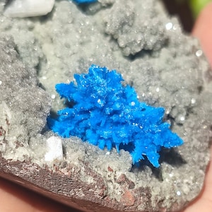 May include: A cluster of bright blue crystals on a gray and brown rock. The crystals are sharp and pointed, and they are arranged in a random pattern.