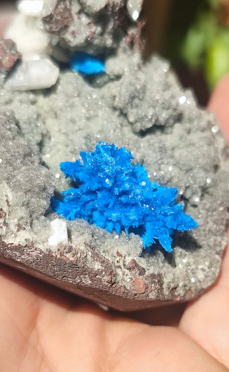 May include: A cluster of bright blue crystals on a gray and brown rock. The crystals are sharp and pointed, and they are arranged in a random pattern.