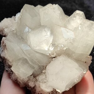 Cluster of large matrix apophyllite crystals with stilbite crystals